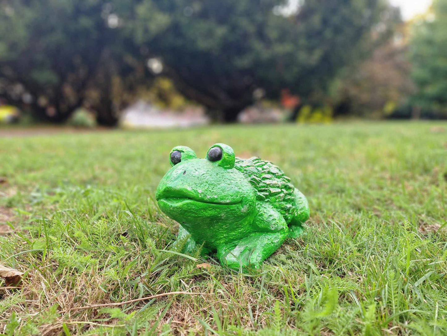 Frog Statue