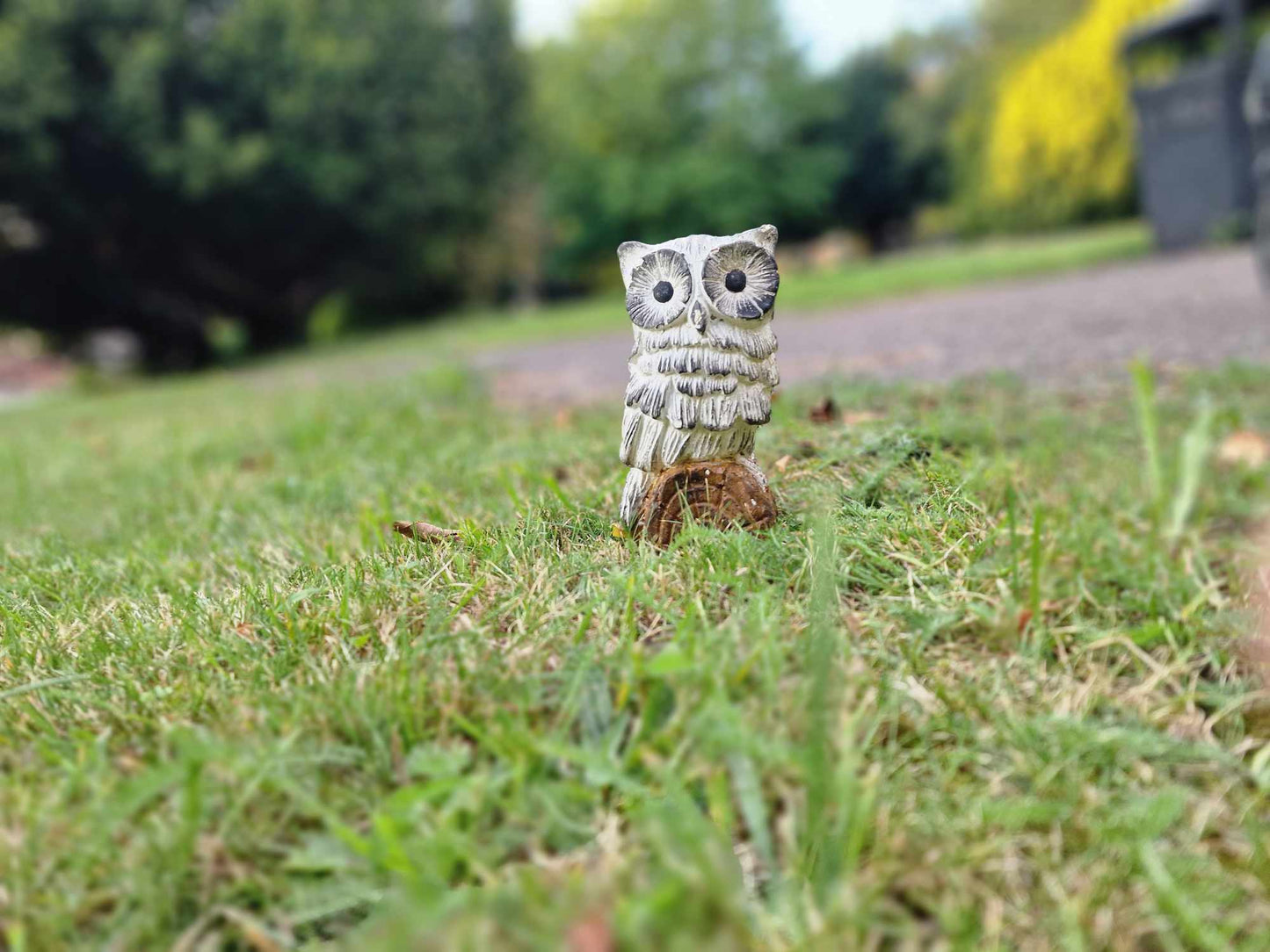 Small Owl Statue