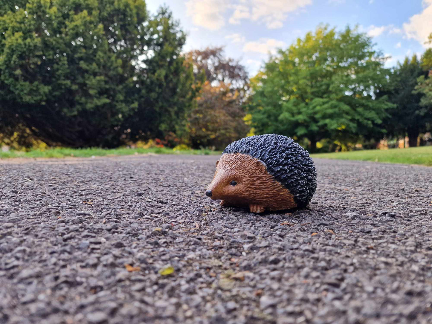 Hedgehog Statue