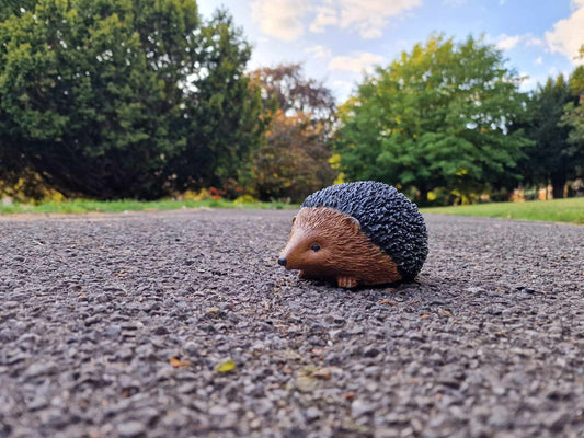 Hedgehog Statue