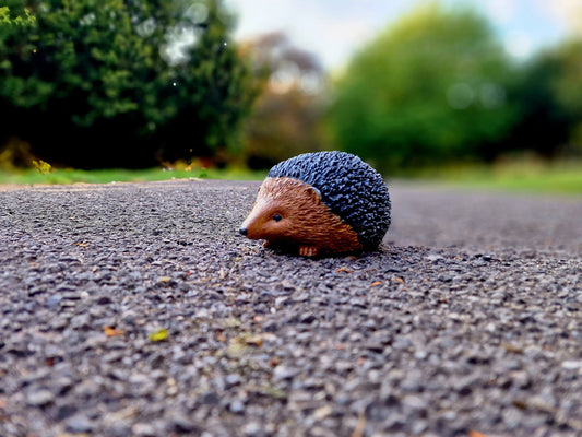 Hedgehog